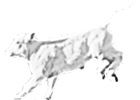 Spjutstorp 110